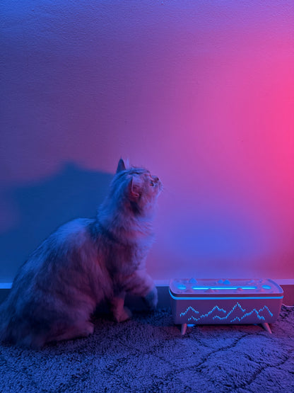 Jellyfish Aroma Diffuser - Your Ultimate Electric Air Humidifier for Home Aromatherapy