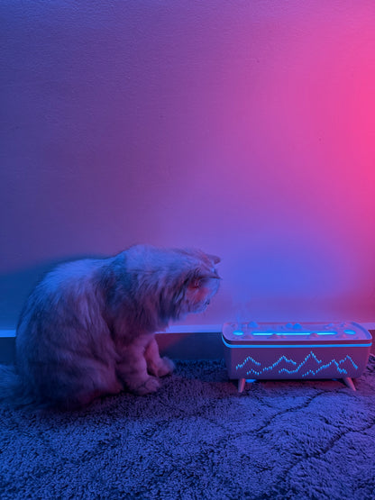 Jellyfish Aroma Diffuser - Your Ultimate Electric Air Humidifier for Home Aromatherapy