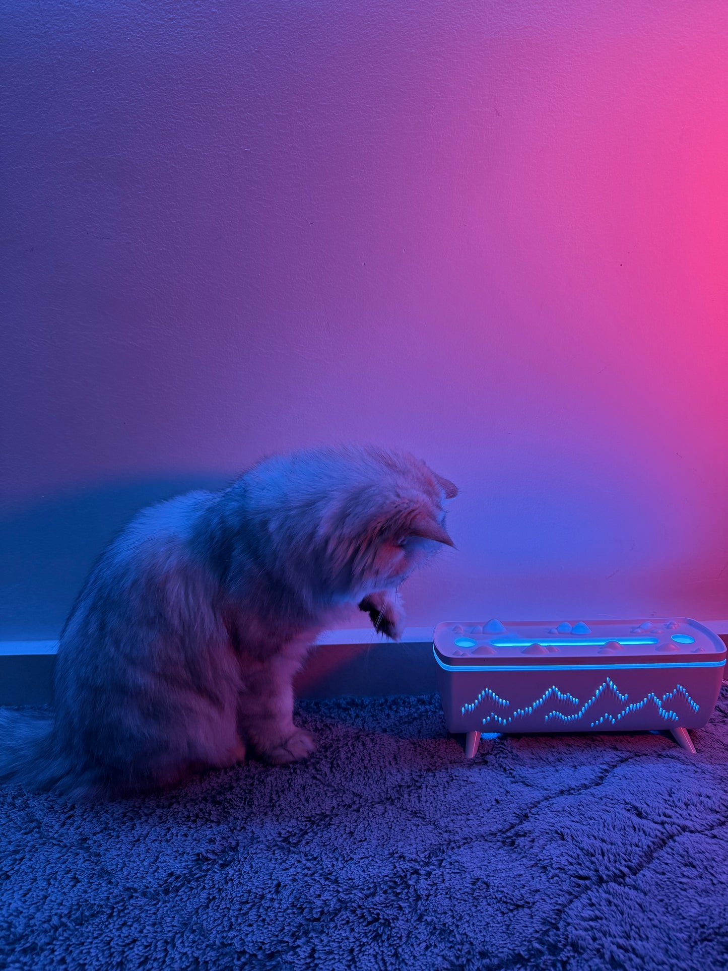 Jellyfish Aroma Diffuser - Your Ultimate Electric Air Humidifier for Home Aromatherapy