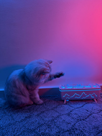 Jellyfish Aroma Diffuser - Your Ultimate Electric Air Humidifier for Home Aromatherapy